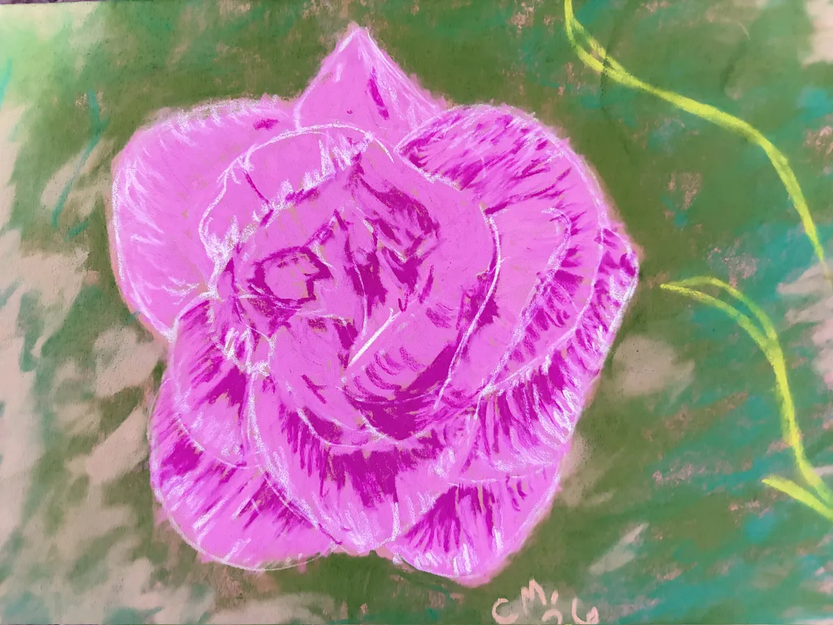 Pastel Rose: Original soft pastel, signed by the artist. A pink and magenta rose, its petals traced in white, over a mottled green ground.
